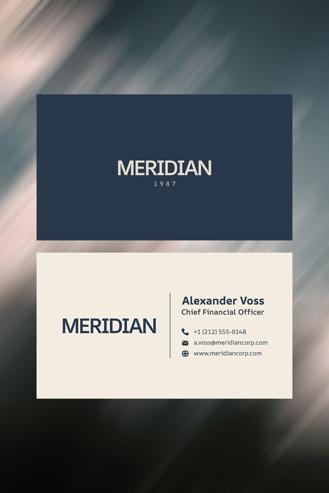 Business Card 11